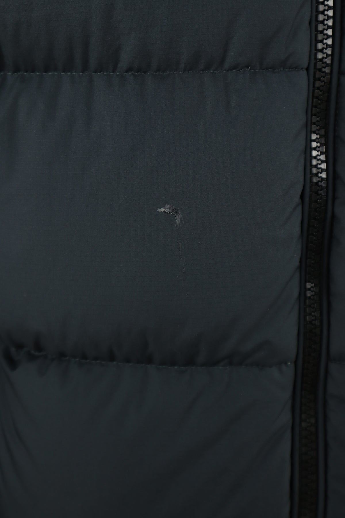 Ralph Lauren winterjas - L