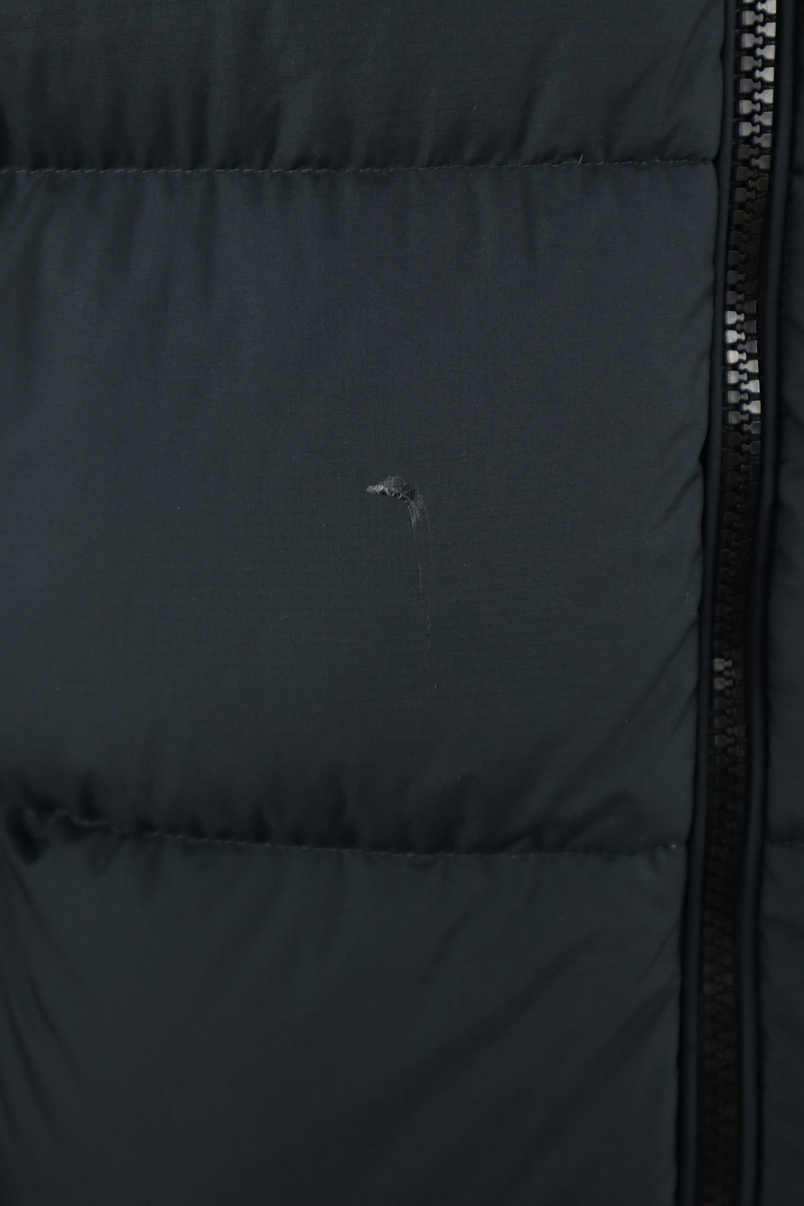 Ralph Lauren winterjas - L